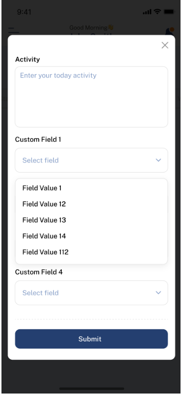 custom-fields